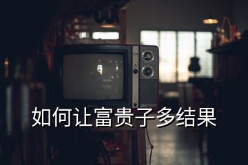 如何让富贵子多结果