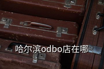 哈尔滨odbo店在哪