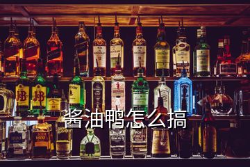 酱油鸭怎么搞