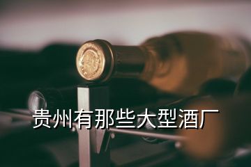 贵州有那些大型酒厂