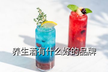 养生酒有什么好的品牌