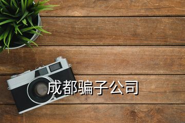 成都骗子公司