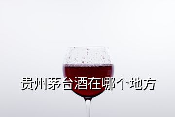 贵州茅台酒在哪个地方