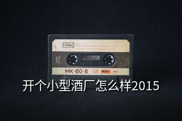 开个小型酒厂怎么样2015