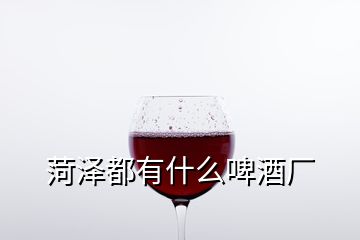 菏泽都有什么啤酒厂