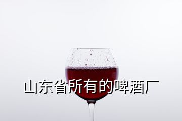 山东省所有的啤酒厂