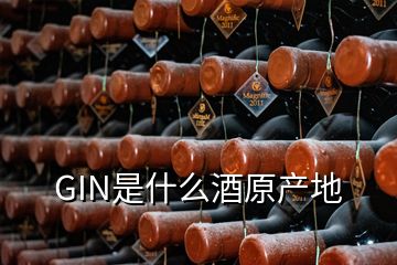 GIN是什么酒原产地