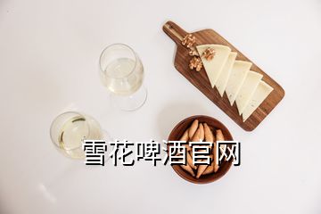 雪花啤酒官网