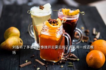 刘备听了茅塞顿开像拨开云雾见到了青天用一成语概括