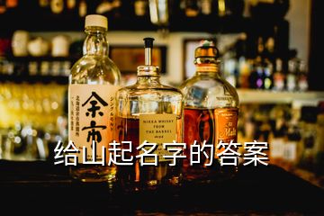 给山起名字的答案