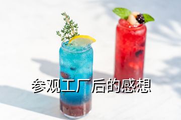 参观工厂后的感想