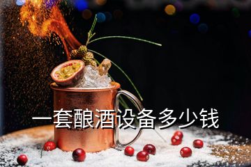 一套酿酒设备多少钱