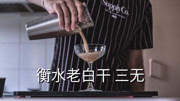 衡水老白干 三无