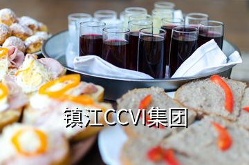 镇江CCVI集团