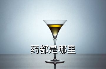 药都是哪里