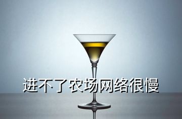 进不了农场网络很慢