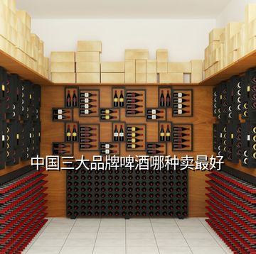 中国三大品牌啤酒哪种卖最好