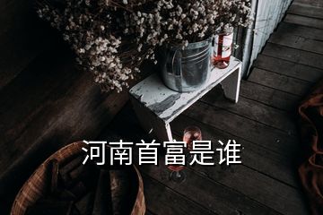 河南首富是谁