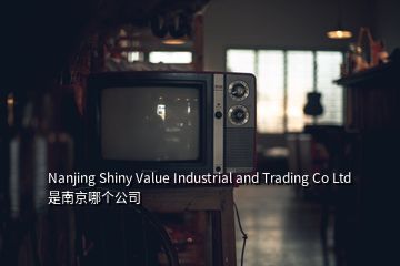 Nanjing Shiny Value Industrial and Trading Co Ltd 是南京哪个公司