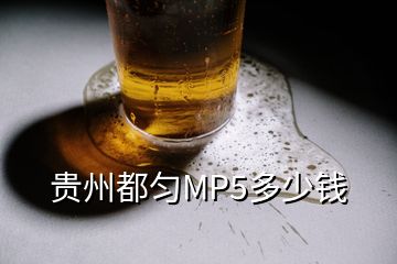 贵州都匀MP5多少钱