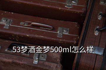 53梦酒金梦500ml怎么样