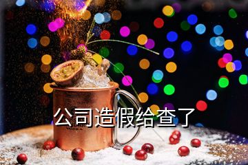 公司造假给查了