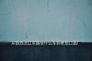 从铁西沈辽东路坐什么车到老龙口酒厂