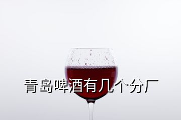 青岛啤酒有几个分厂