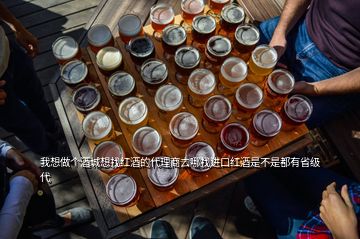 我想做个酒城想找红酒的代理商去哪找进口红酒是不是都有省级代