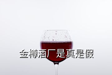 金樽酒厂是真是假