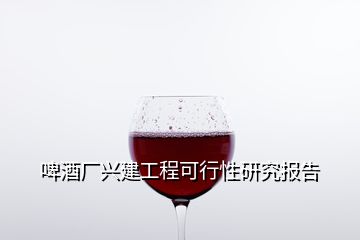 啤酒厂兴建工程可行性研究报告