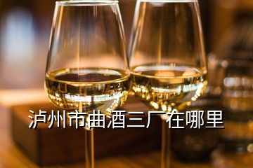 泸州市曲酒三厂在哪里