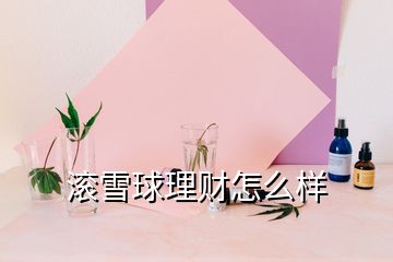 滚雪球理财怎么样