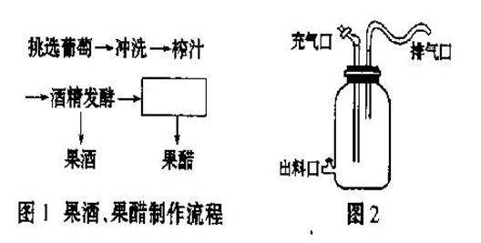 果酒蒸馏制作方法