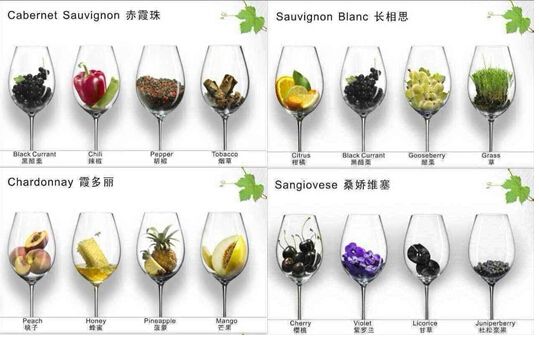 红酒葡萄种类