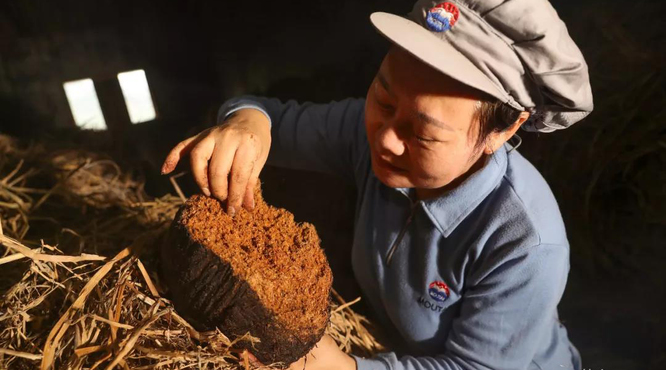 从细节看茅台：一瓶茅台酒与8100多个人工