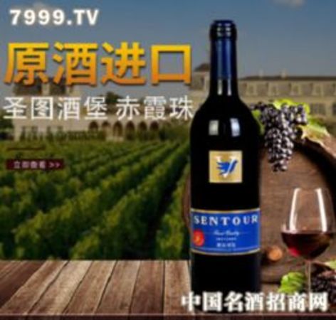 圣图诗赤霞珠干红葡萄酒怎么样(圣图卡露赤霞珠干红葡萄酒怎么样)