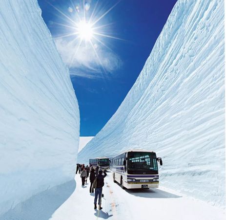 阿尔岱雪2011多少钱(阿尔岱雪红酒市场价)