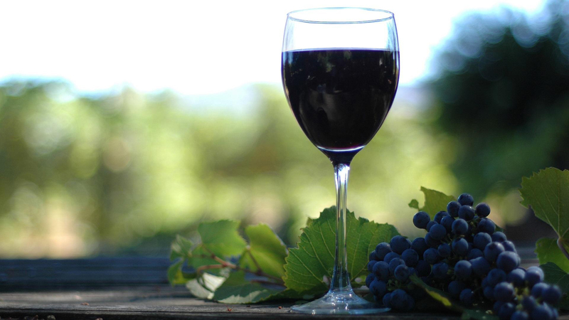 葡萄酒的酿制的过程中用不用搅拌(葡萄酒酿制全过程)