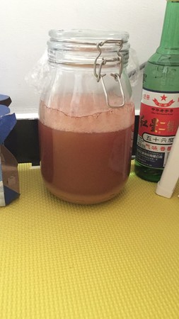 自酿葡萄酒二次发酵乳酸菌(乳酸菌在葡萄酒酿造中的作用)