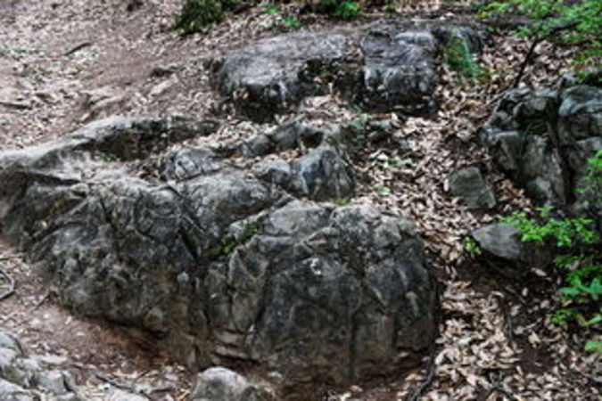 山里泉(山里泉在哪个地方)