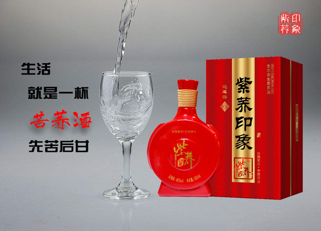 天健苦荞酒多少钱(天健苦荞酒多少钱一瓶)