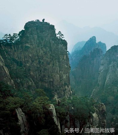 黄山头原生青山价格(黄山头银窖王价格)