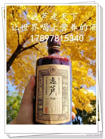 芦河王20年50度多少钱(芦河王酒50度多少钱一瓶)