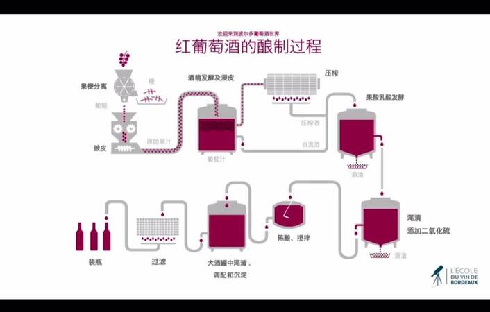 怎样酿造葡萄酒视频(葡萄酒怎么酿造视频)