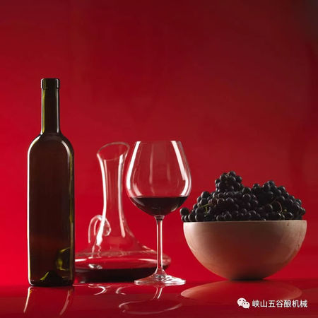 怎么粮制葡萄酒会发酸(酿葡萄酒发酸)