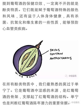 红酒里有些什么成分(红酒里都有什么成分)