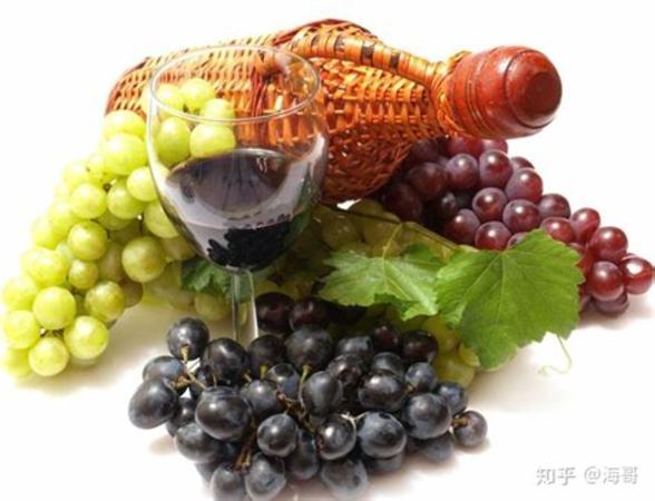 自酿葡萄酒防止变酸,怎么避免葡萄酒变酸