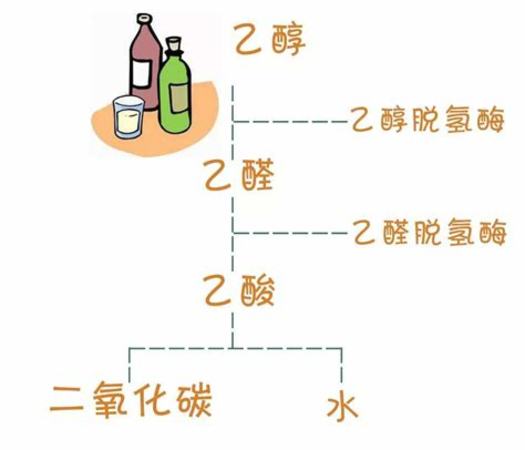 
为什么喝葡萄酒会过敏呢,为什么喝有些葡萄酒会过敏