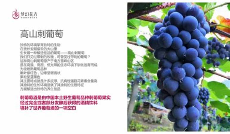 中国红酒门户网,卖红酒在哪个网站